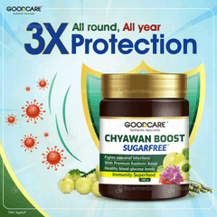 Goodcare Chyawan Boost Sugarfree 500Gm